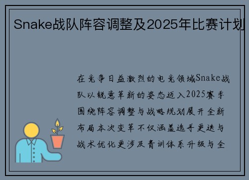 Snake战队阵容调整及2025年比赛计划